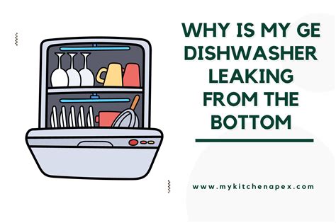 Why Your Dishwasher Is Leaking From the Bottom